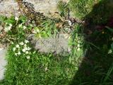 image of grave number 321353